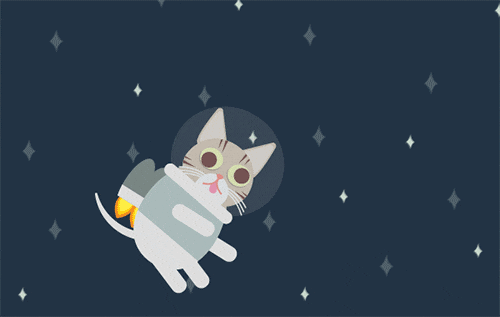 Chat perdu dans l'espace